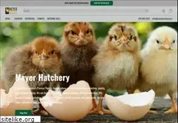 Sites similar to meyerhatchery.com