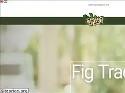 Sites similar to meysam-co.com