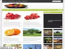 Sites similar to meyve.biz