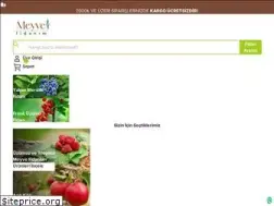 Sites similar to meyvefidanim.com