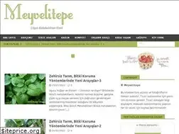 Sites similar to meyvelitepe.org