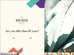 Sites similar to mezcalbuensuceso.com