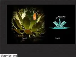 Sites similar to mezcalyuubaal.com
