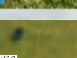 Sites similar to mg-golfsport.de
