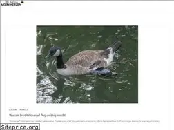 Sites similar to mg-im-herzen.de