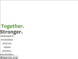 Sites similar to mgmarketing.co.nz