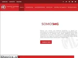 Sites similar to mgmotor.com.mx