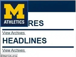 Sites similar to mgoblue.com