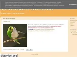 Sites similar to mhabbetkusu.blogspot.com
