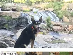 Sites similar to mhk9.com