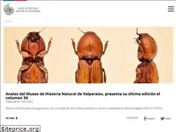 Sites similar to mhnv.cl