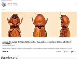 Sites similar to mhnv.gob.cl