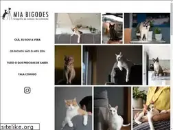 Sites similar to miabigodes.com