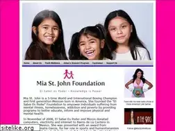 Sites similar to miastjohnfoundation.org