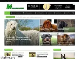 Sites similar to micachorro.net