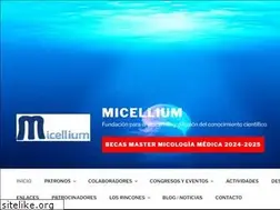 Sites similar to micellium.org
