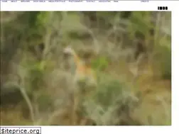 Sites similar to michaelboidyfilms.com