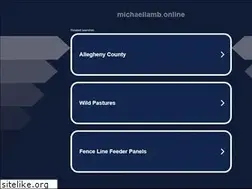 Sites similar to michaellamb.online