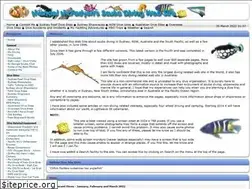 Sites similar to michaelmcfadyenscuba.info