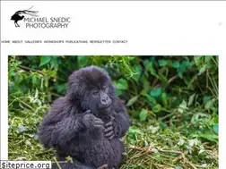 Sites similar to michaelsnedic.com