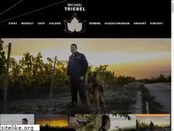 Sites similar to michaeltriebel.de