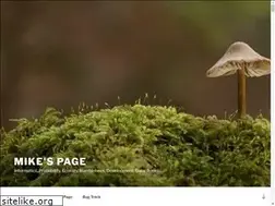 Sites similar to michaeltsmith.org.uk
