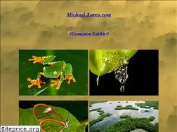 Sites similar to michaelturco.com