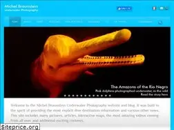 Sites similar to michelbraunstein.com