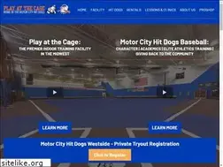 Sites similar to michiganbluejays.com