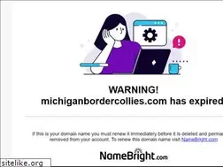 Sites similar to michiganbordercollies.com