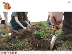 Sites similar to michiganffa.com