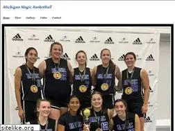 Sites similar to michiganmagicbasketball.org