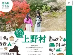 Sites similar to michinoeki-ueno.jp