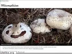 Sites similar to micomedicina.com