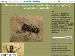 Sites similar to microgalerie.canalblog.com