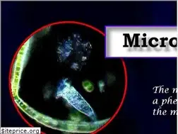 Sites similar to micrographia.com