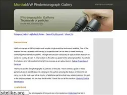Sites similar to microlabgallery.com