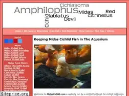 Sites similar to midascichlid.com