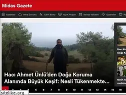 Sites similar to midasgazete.com