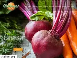 Sites similar to midax.it