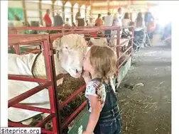 Sites similar to middletowngrangefair.org