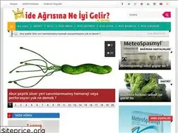 Sites similar to mideagrisinaneiyigelir.com