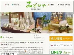 Sites similar to midoriya-jp.com