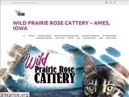 Sites similar to midwestbengalkittens.com