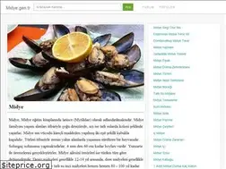 Sites similar to midye.gen.tr