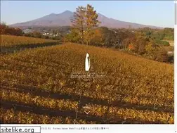 Sites similar to mieikeno.com