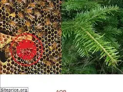 Sites similar to mieldesapindesvosges-aop.fr