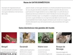 Sites similar to migatodomestico.es