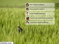 Sites similar to migdal.pl