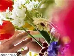 Sites similar to migiwao.com